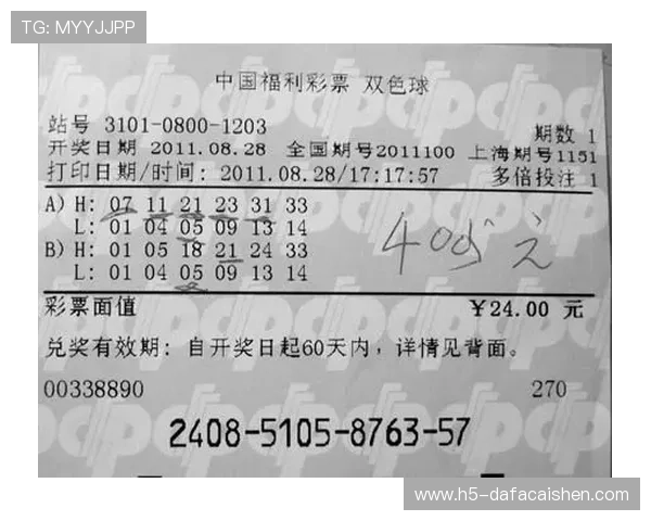 全国热门彩票网站推荐及购彩技巧全面解析指南